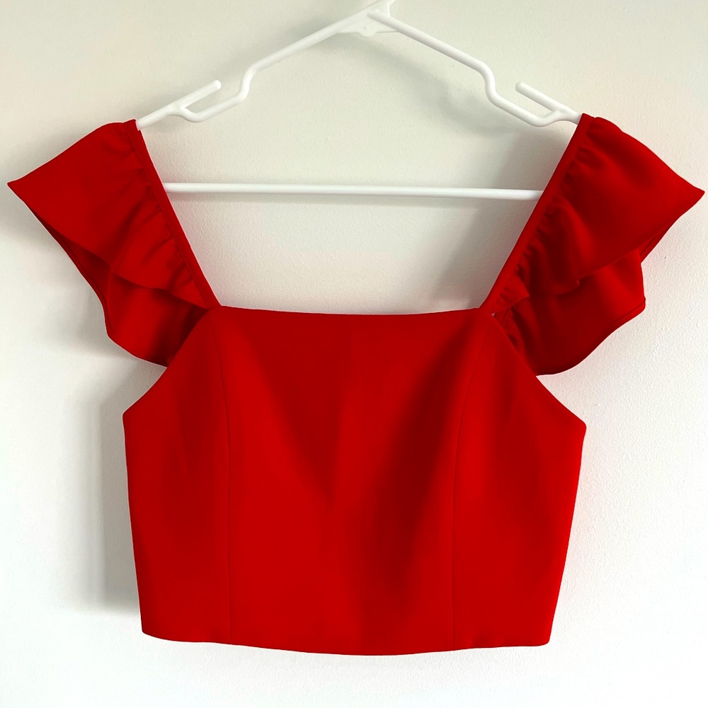 Worn once!!! Alice and Olivia Celestial Sleeve Crop Top in Red